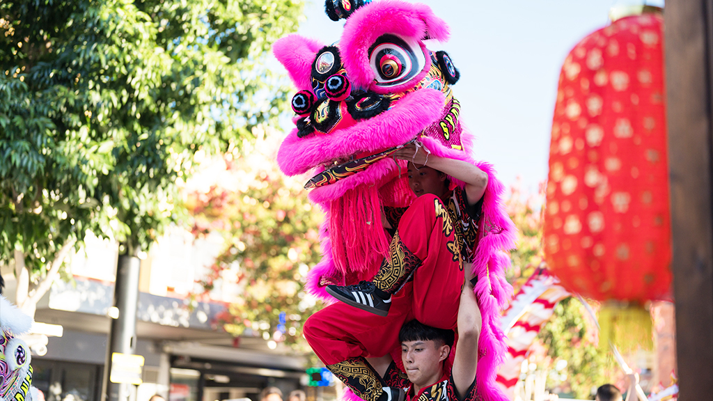 Lion Dance Showcase