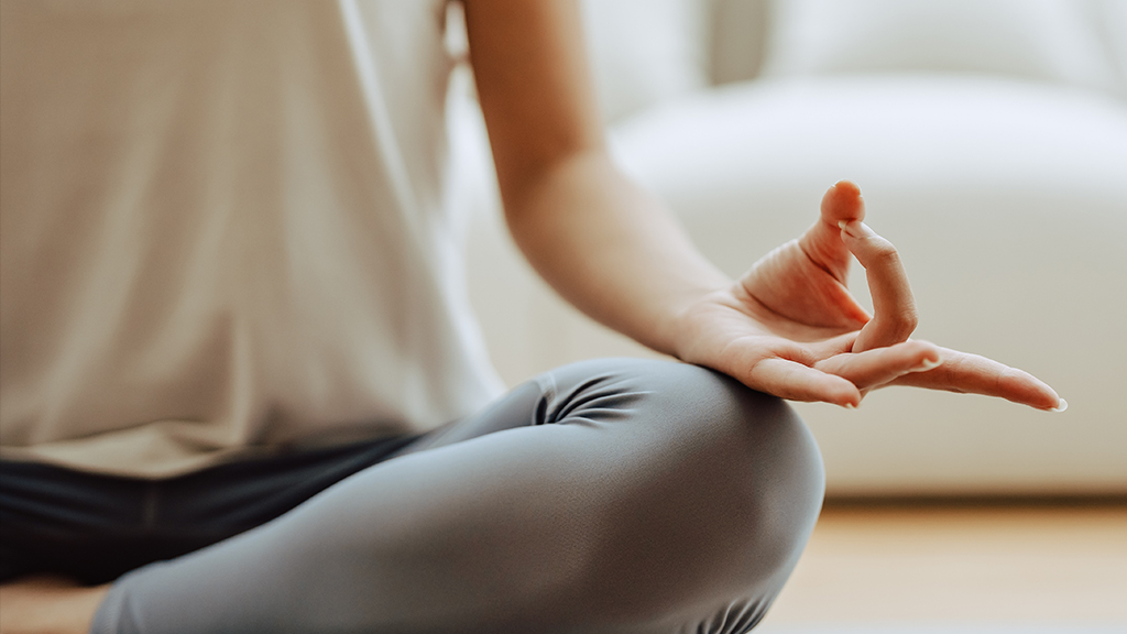Heartfullness Meditation