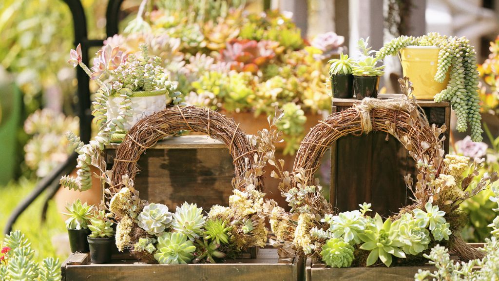 Create a Succulent Christmas Wreath Workshop