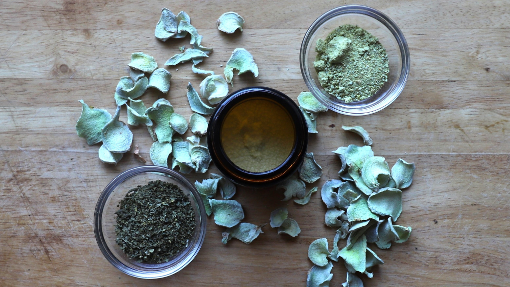 Healing Herbs Workshop